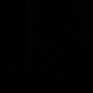 Meet your Posher, Nicholas